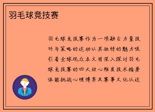 羽毛球竞技赛