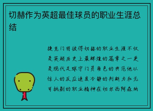 切赫作为英超最佳球员的职业生涯总结